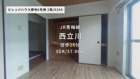 動画