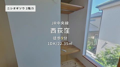動画