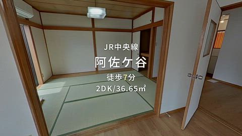動画