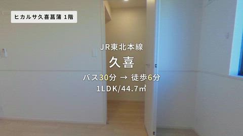 動画
