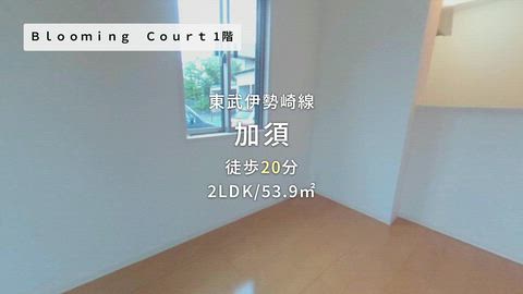 動画
