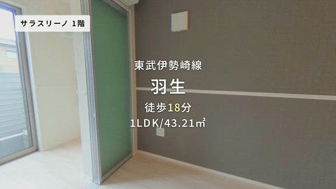 動画