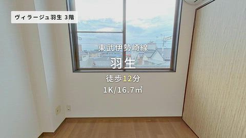 動画