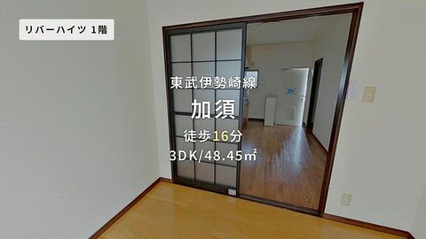 動画