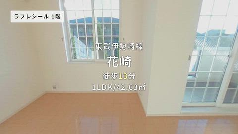動画