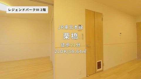 動画