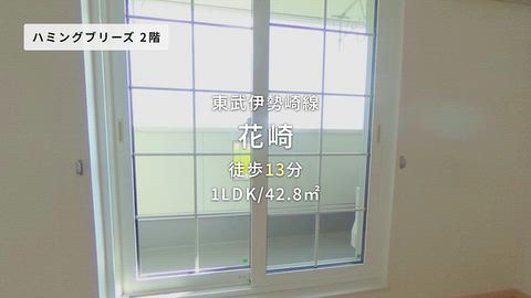 動画