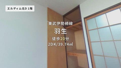 動画