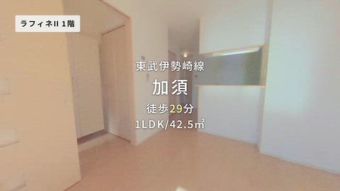 動画