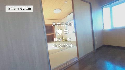 紹介ムービー