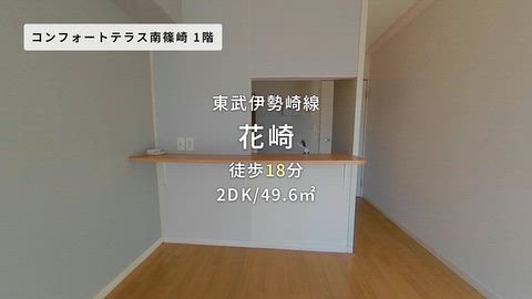 動画