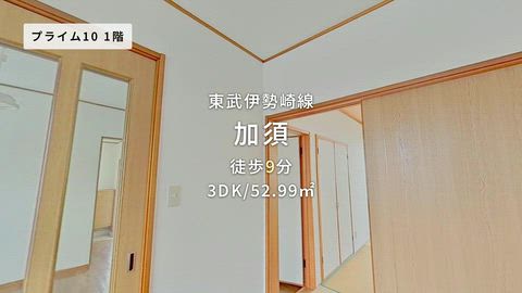 動画