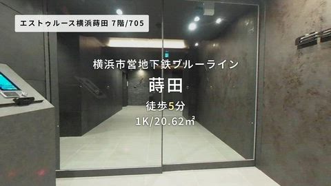 動画