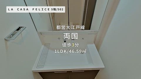動画