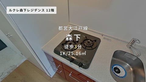 動画