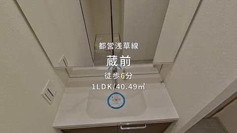 動画