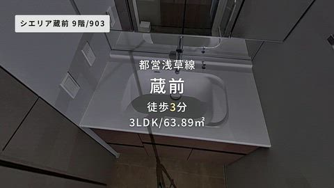 動画