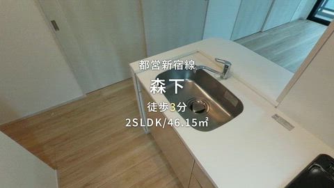動画