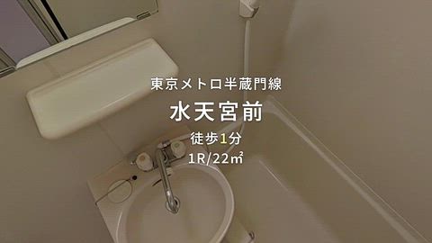 動画