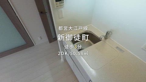 動画
