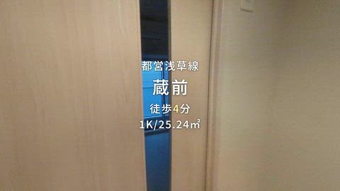 動画