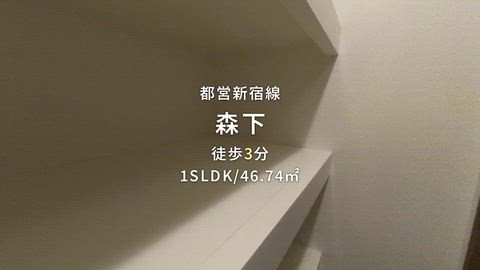動画