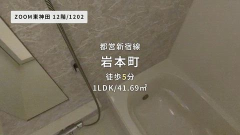 動画