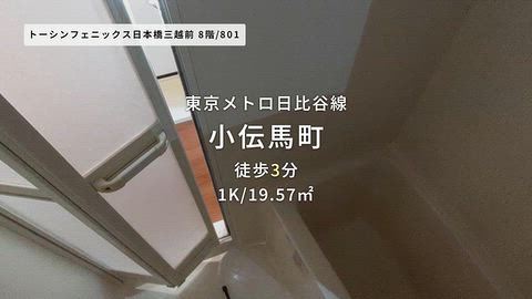 動画