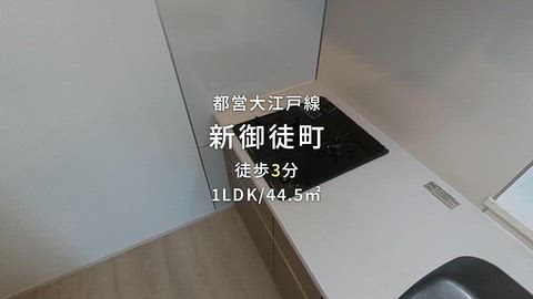 動画