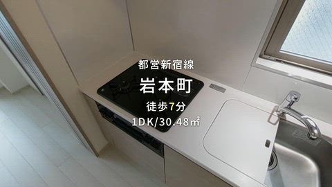 動画