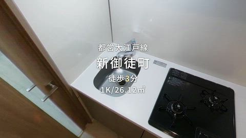 動画