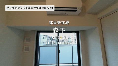 動画