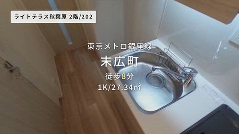 動画