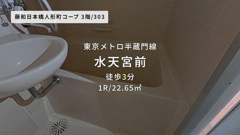 動画
