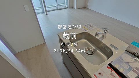 動画