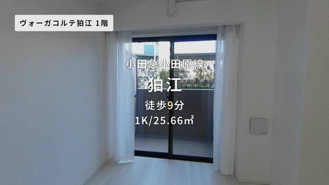 紹介ムービー