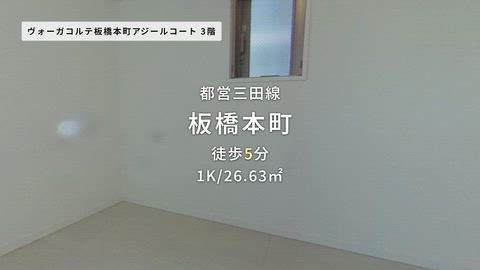 動画