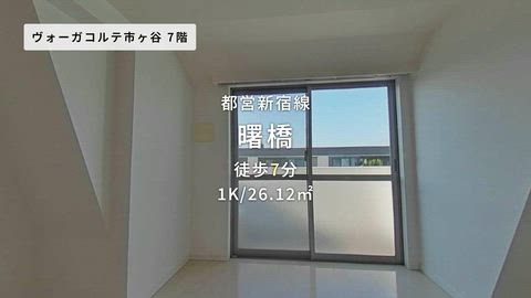 動画