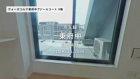 動画
