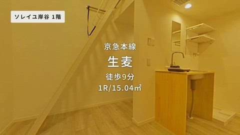 動画