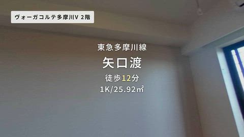 動画
