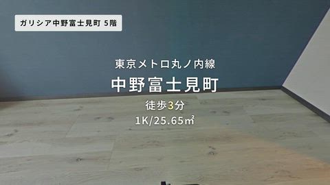 動画
