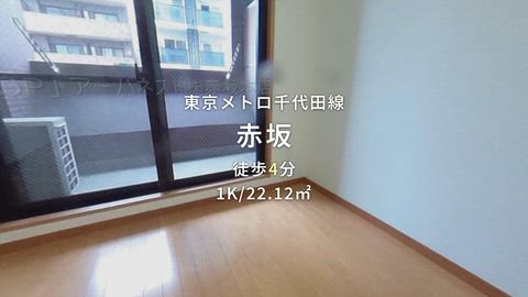 動画