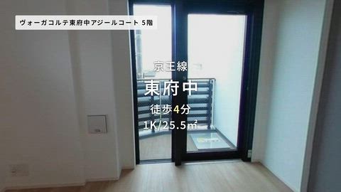 動画