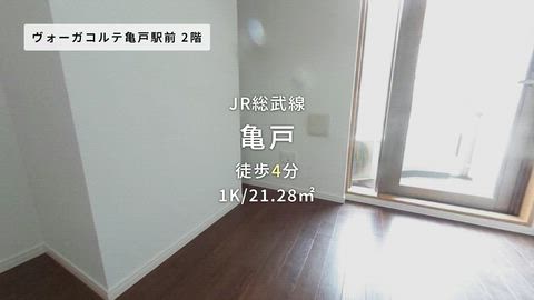動画