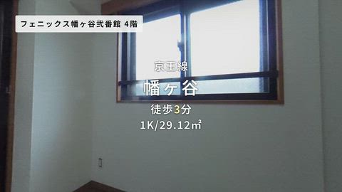 動画