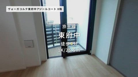 動画
