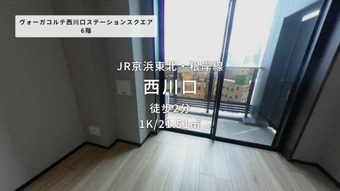 動画