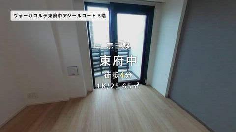 動画