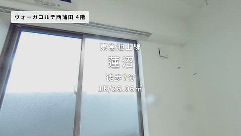 動画
